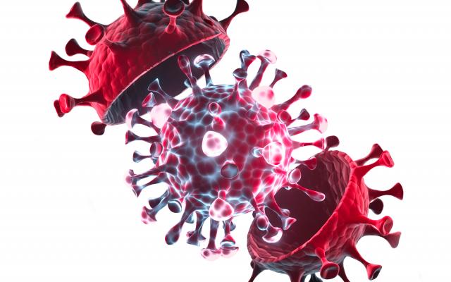 Mutaties in het SARS-CoV-2-genoom