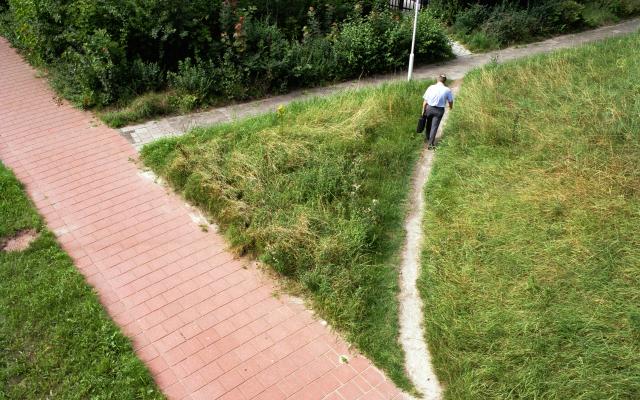 Een foto van twee paden.