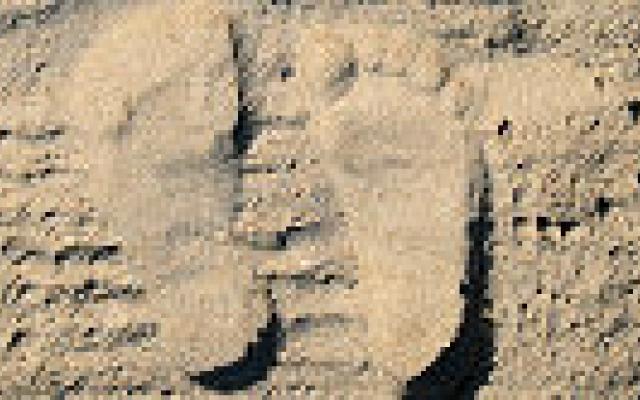 Steunzool met laterale wig geeft geen verlichting bij knieartrose