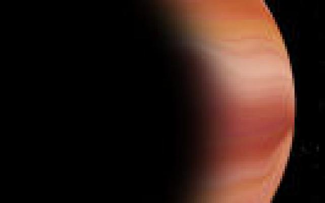 Effect statines los van CRP-waarde