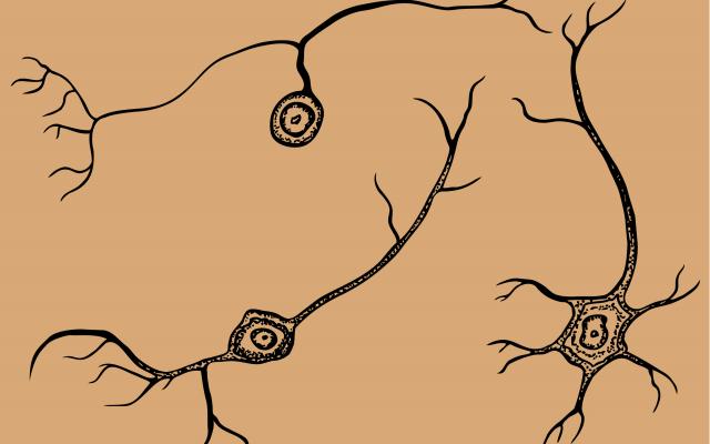 Illustratie van cellen.