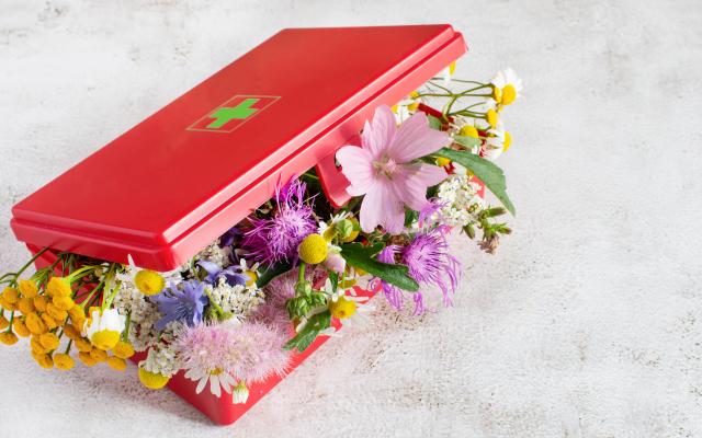 Een EHBO-doos gevuld met bloemen.