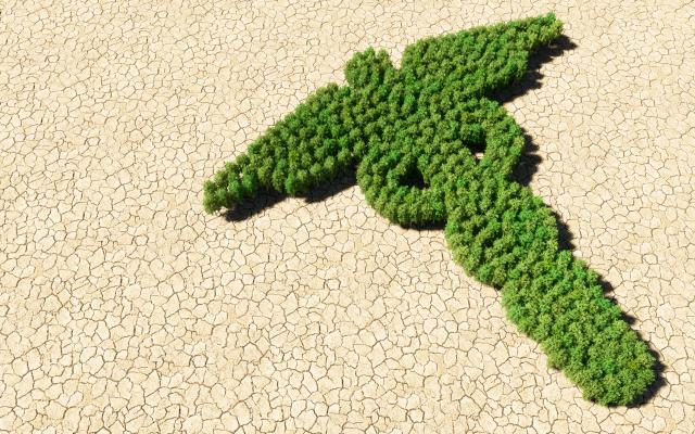 Groene bomen in de vorm van een esculaap. Het symbool steekt af tegen een uitgedroogd stuk grond.