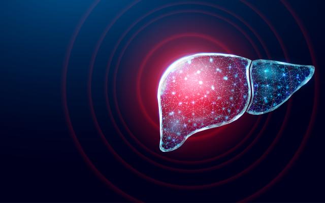 Een rood licht schijnt op een afbeelding van een lever.