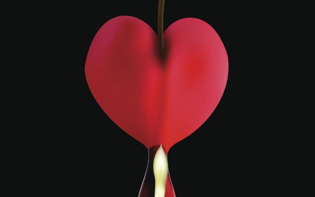 Digitale afbeelding van een hartvormig figuur.