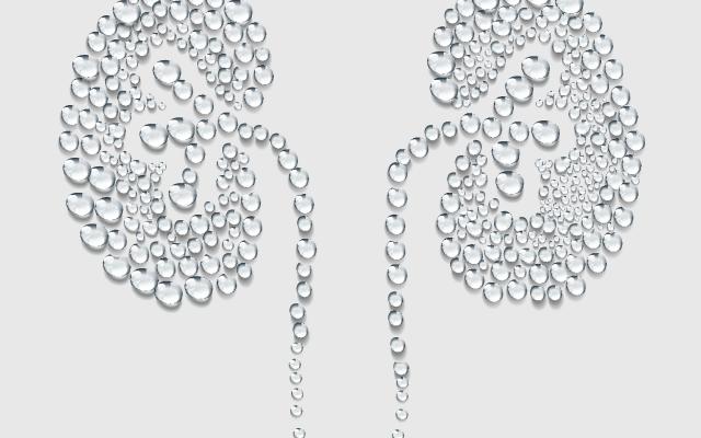 Een paar nieren gemaakt van waterdruppels.