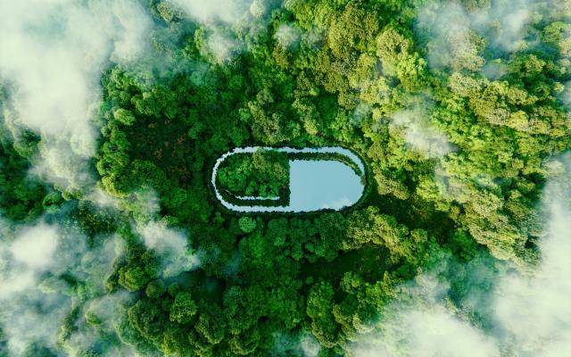 Foto van een groen bos in vogelperspectief. In het midden ligt een meer, wat van bovenaf de vorm heeft van een pilcapsule.