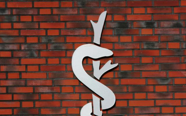 Een witte esculaap op een bakstenen muur.