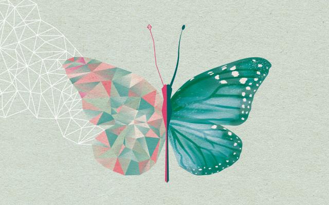 Illustratie van een vlinder.