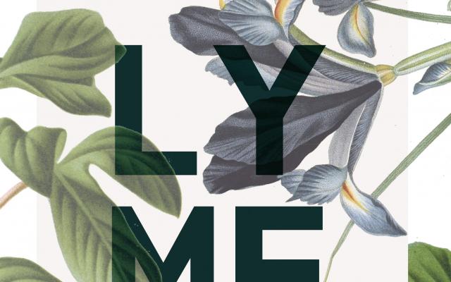 Cover van het proefschrift "Lymeziekte: Ontwikkelingen in diagnostiek en klinische aspecten."