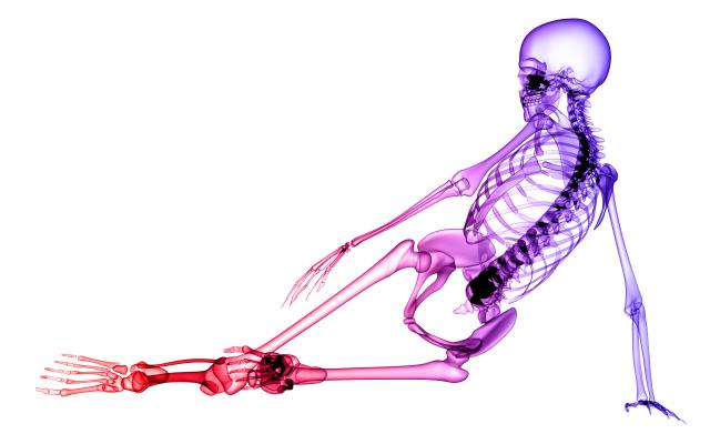 Foto: Thorsten Schmitt/shutterstock