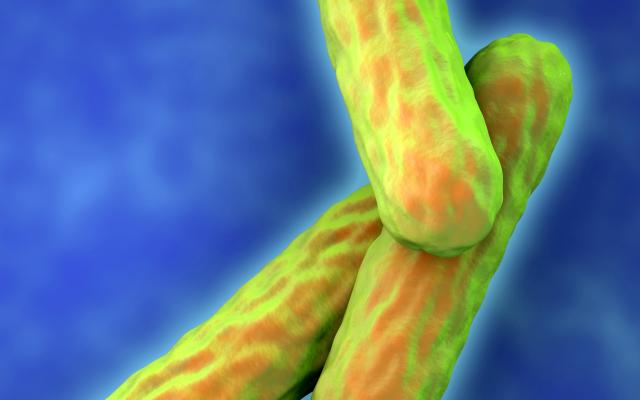 D6805_F0 roger Harris Sciene Photo Library