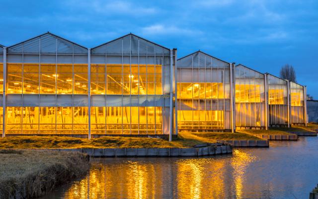 Verlichte Tuinbouwkassen