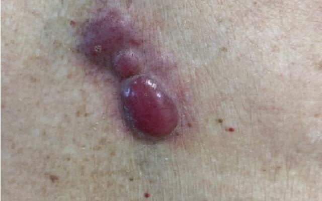 Week 28 D7719_F1bq.jpg