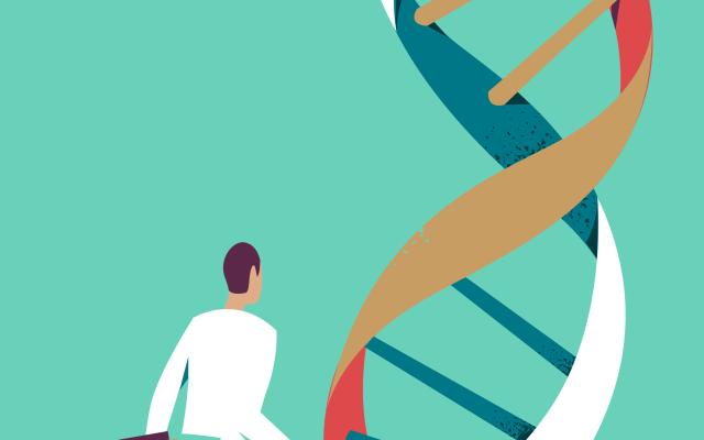 Foto: Hurca/shutterstock