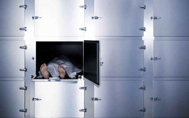 Foto: PixHound/shutterstock 