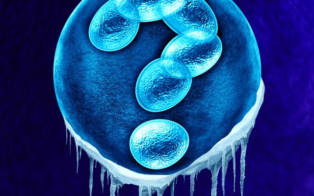 Illustratie van en cel met een vraagteken erin