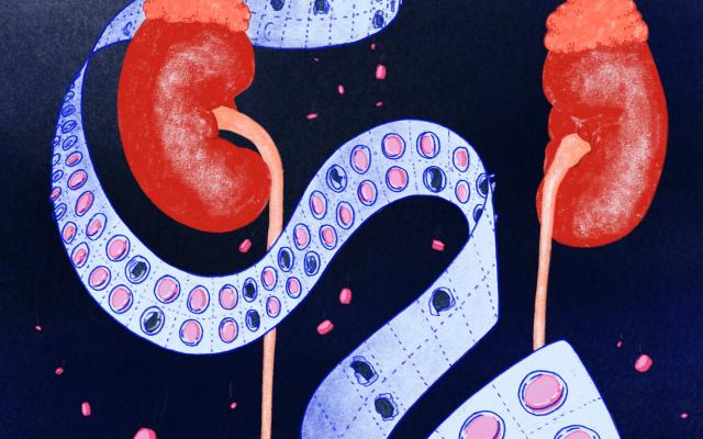 Illustratie van nieren met een strip pillen ertussen