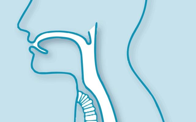 Illustratie van de luchtpijp