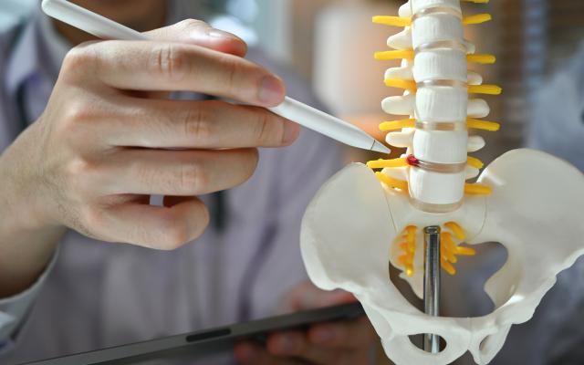 Wervelkolom en bekken