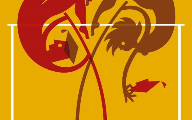 Illustratie van genderverschillen