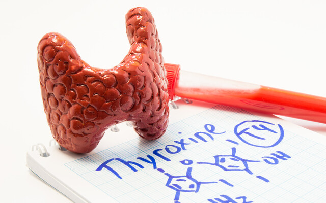 Illustratie van Thyroxine