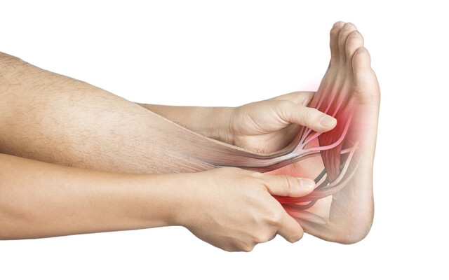 Voet waarin de pezen zichtbaar zijn