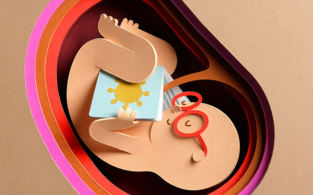 Illustratie van baby in de baarmoeder