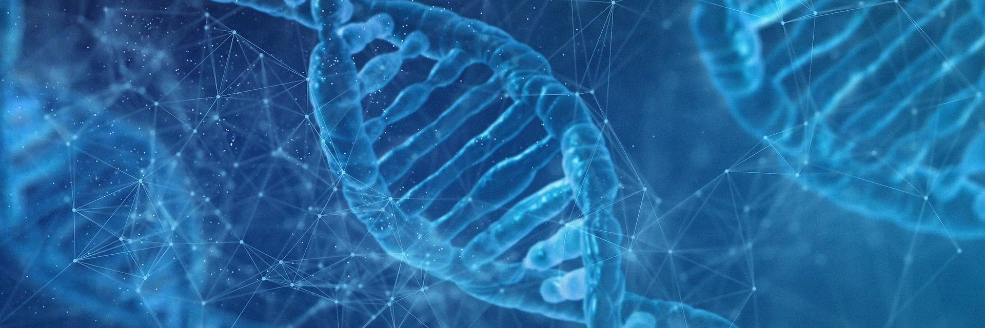 DNA streng met netwerk er omheen