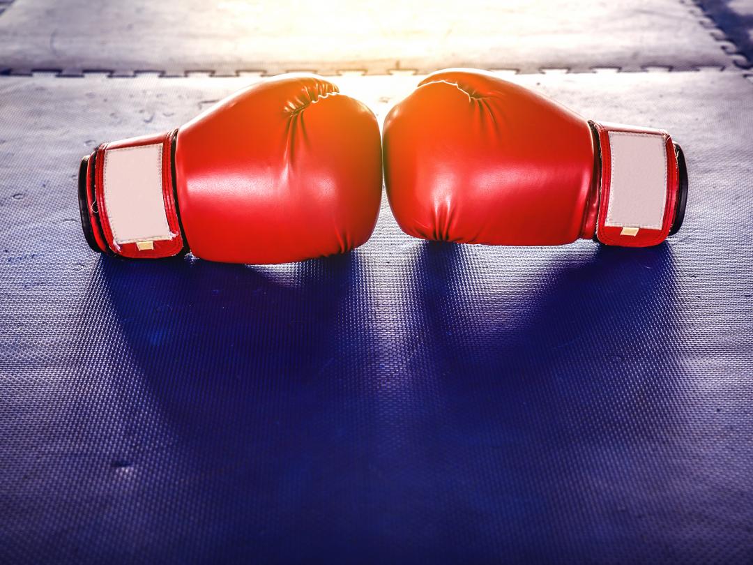 Twee bokshandschoenen.