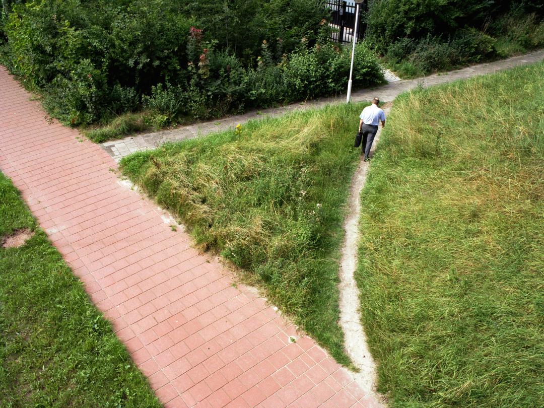 Een foto van twee paden.