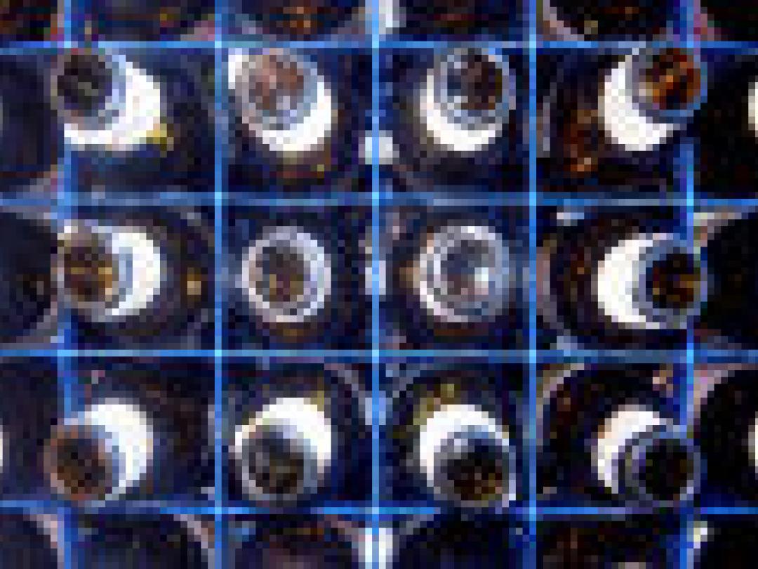 Studenten blijven drinken ondanks interventie