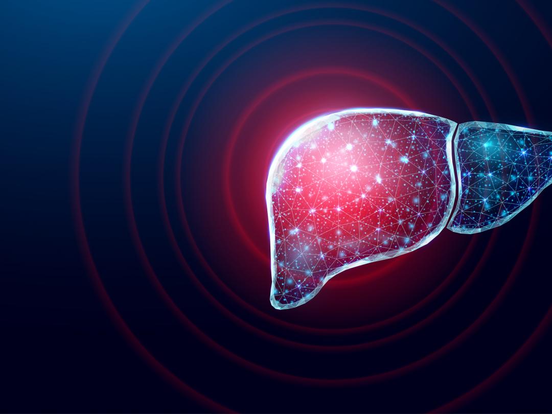 Een rood licht schijnt op een afbeelding van een lever.