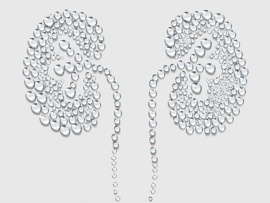 Een paar nieren gemaakt van waterdruppels.