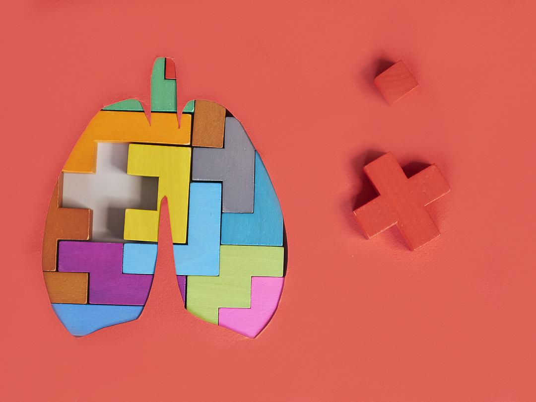 Een puzzel in de vorm van een paar longen.