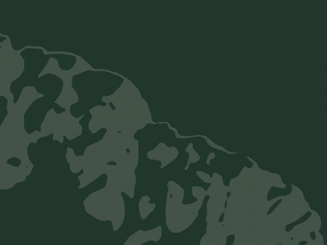 Deel van de cover van het proefschrift 'Multimodal MRI-based classification of Alzheimer’s disease'.