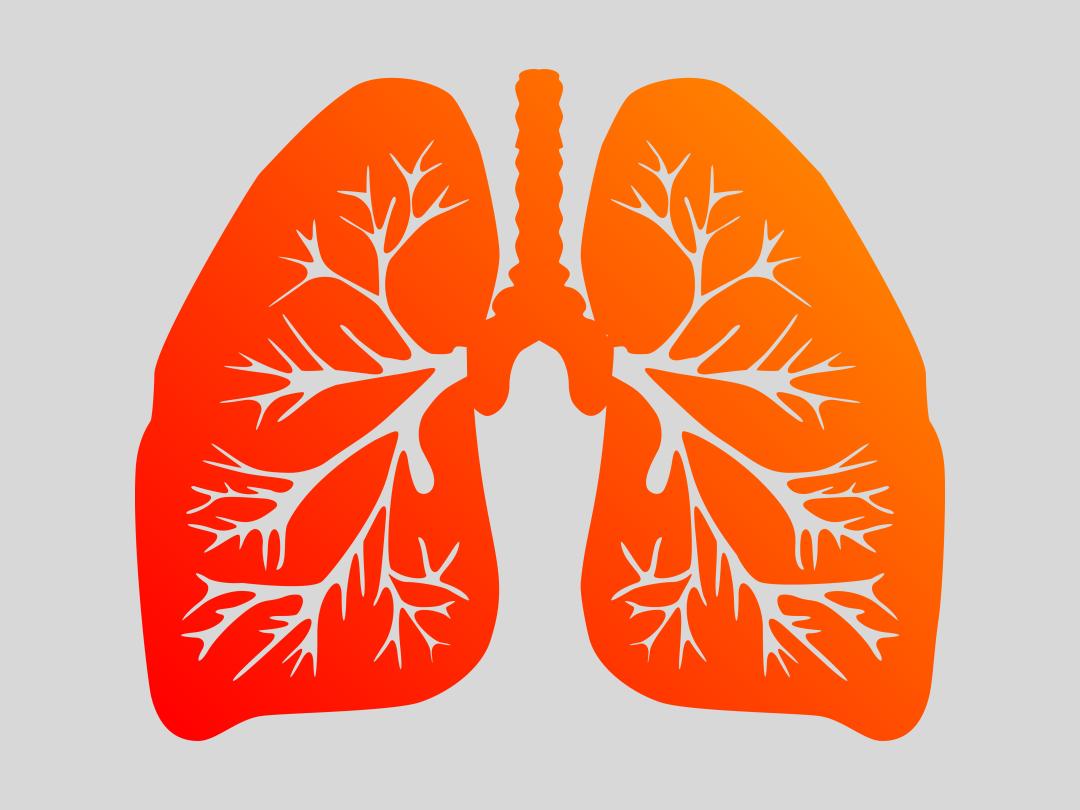 Illustratie van longen
