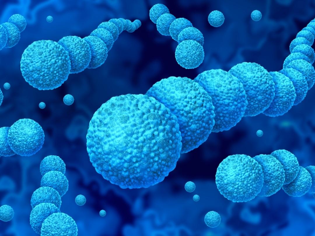 Illustratie van Streptokokken