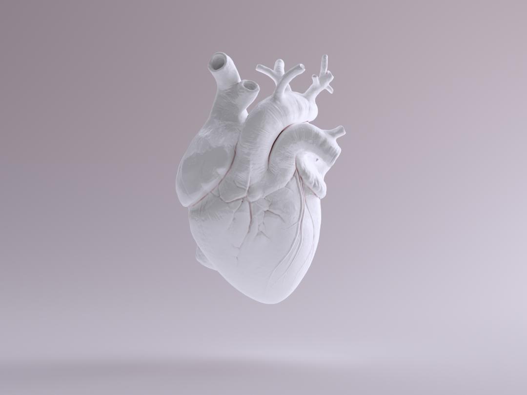 Illustratie van een hart