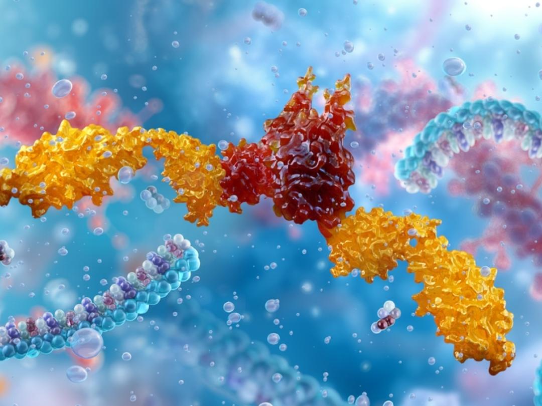 3d illustratie imuuncontrolepunteiwitten