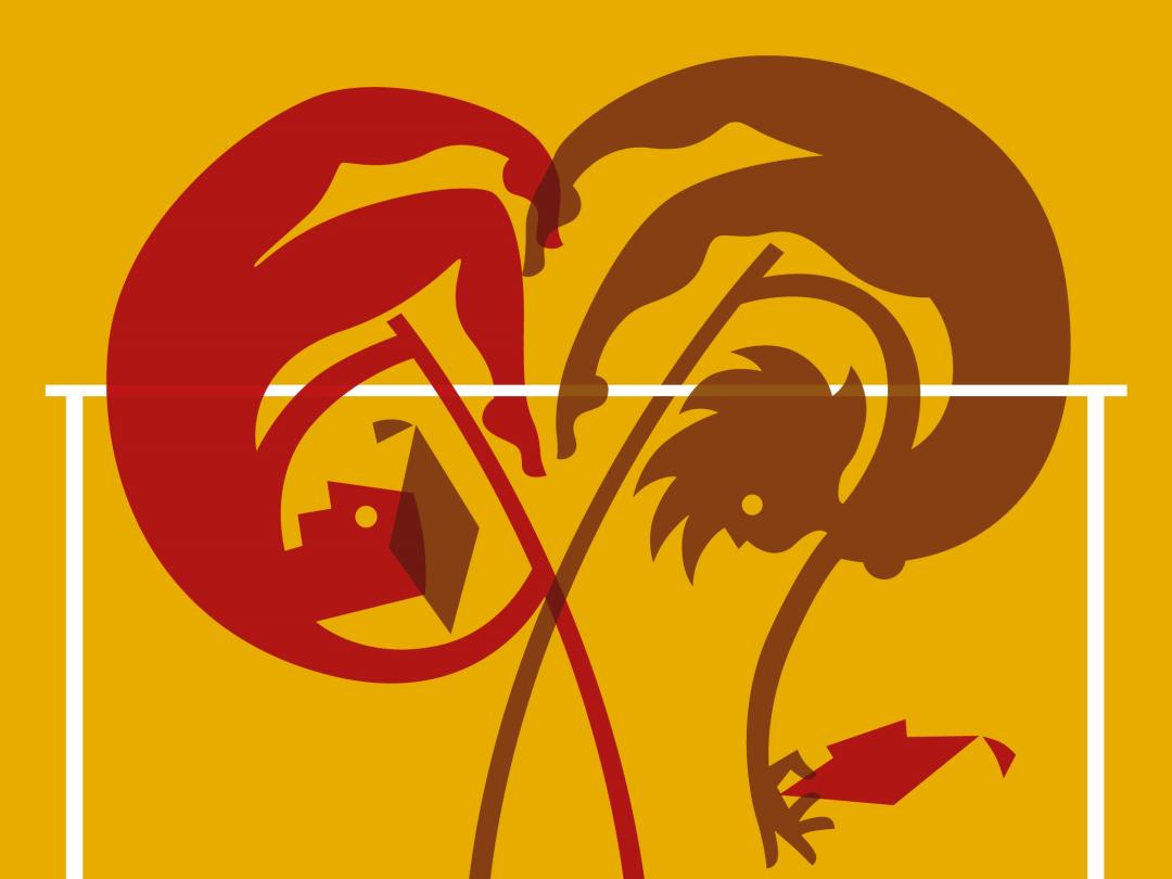 Illustratie van genderverschillen