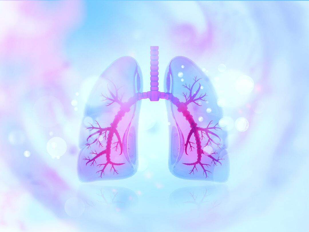 Illustratie van longen