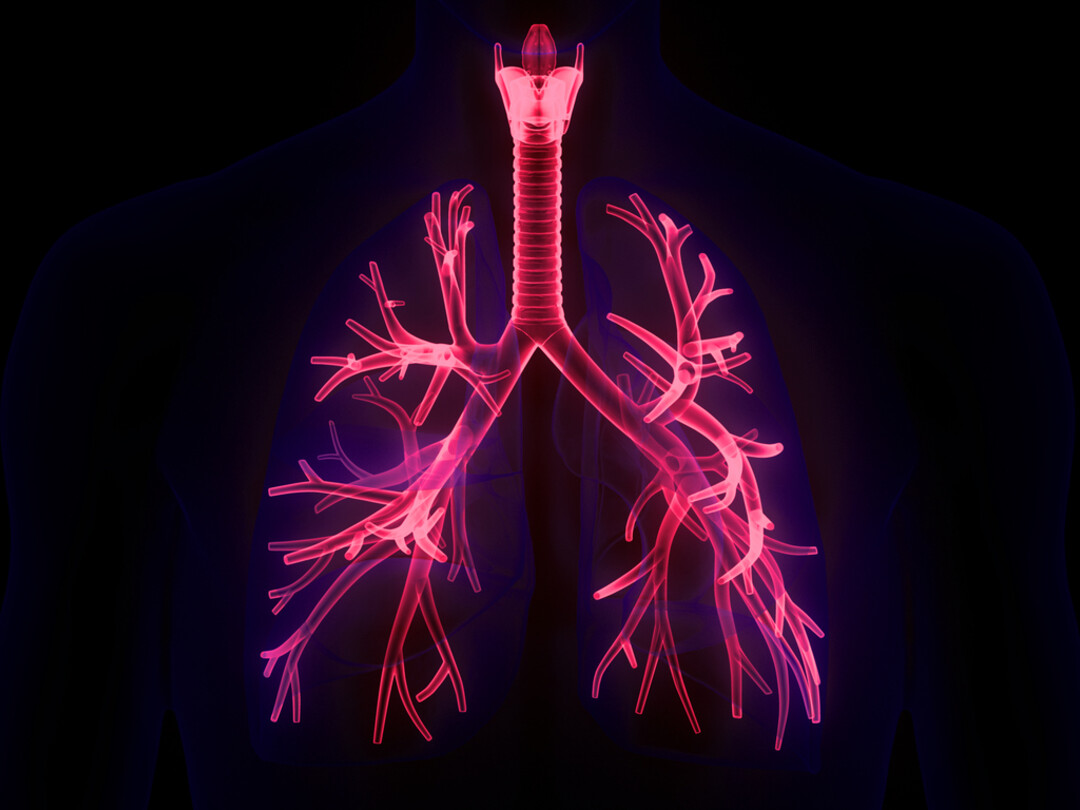 Illustratie van longen