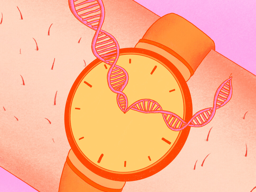 Horloge met DNA string
