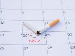 Foto: PongWatchara/shutterstock