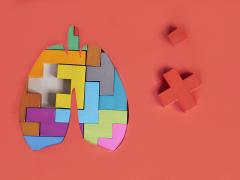 Een puzzel in de vorm van een paar longen.