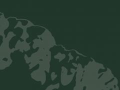 Deel van de cover van het proefschrift 'Multimodal MRI-based classification of Alzheimer’s disease'.