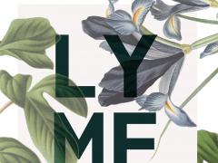 Cover van het proefschrift "Lymeziekte: Ontwikkelingen in diagnostiek en klinische aspecten."