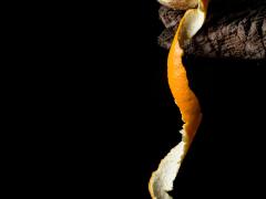 Stilleven van een half geschilde sinaasappel