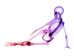 Foto: Thorsten Schmitt/shutterstock